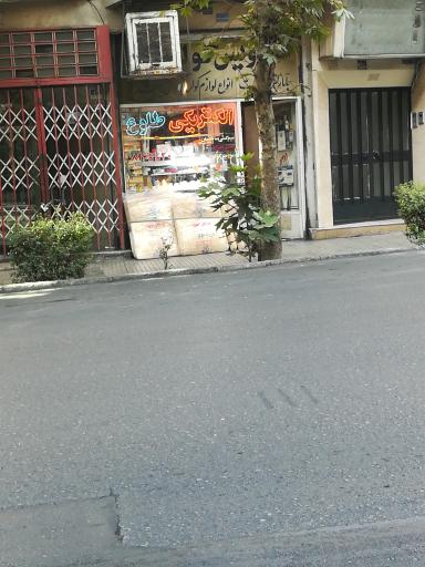 الکتریکی طلوع