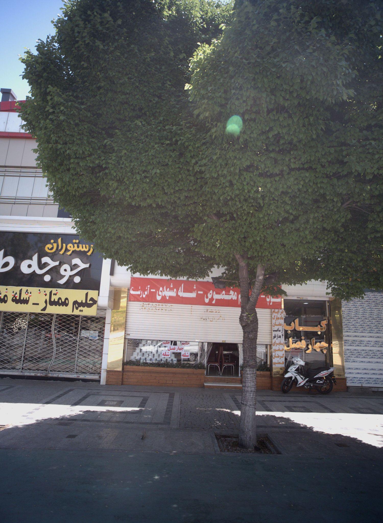 رستوران چهار فصل