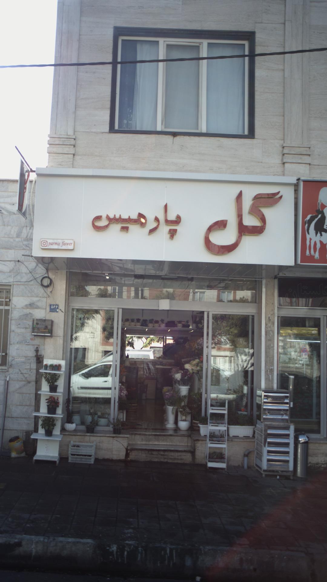 گل پارمیس