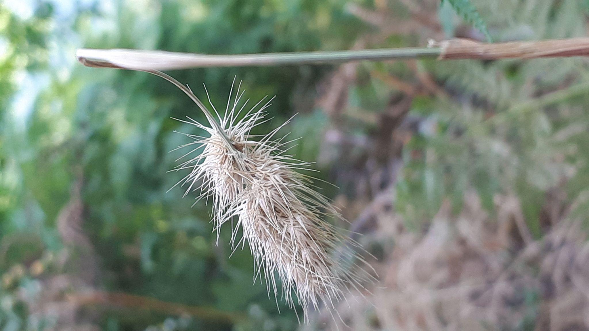 عکاسی و تصویربرداری جلوه تالش