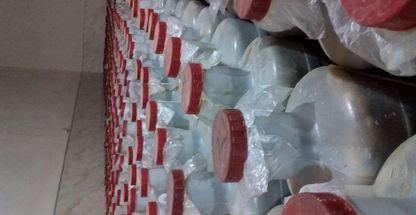 تولید و پخش خیارشور همدان