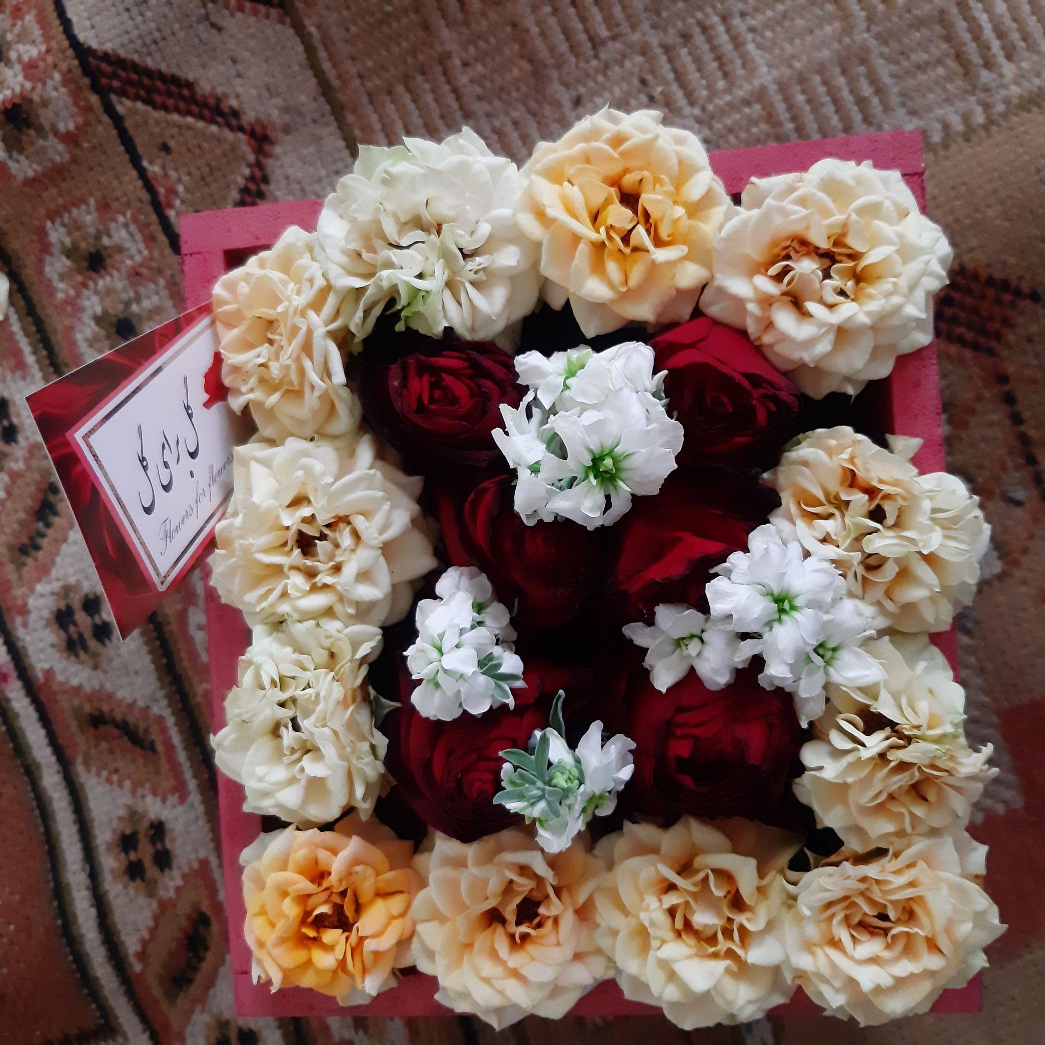 گلخانه پاپیل