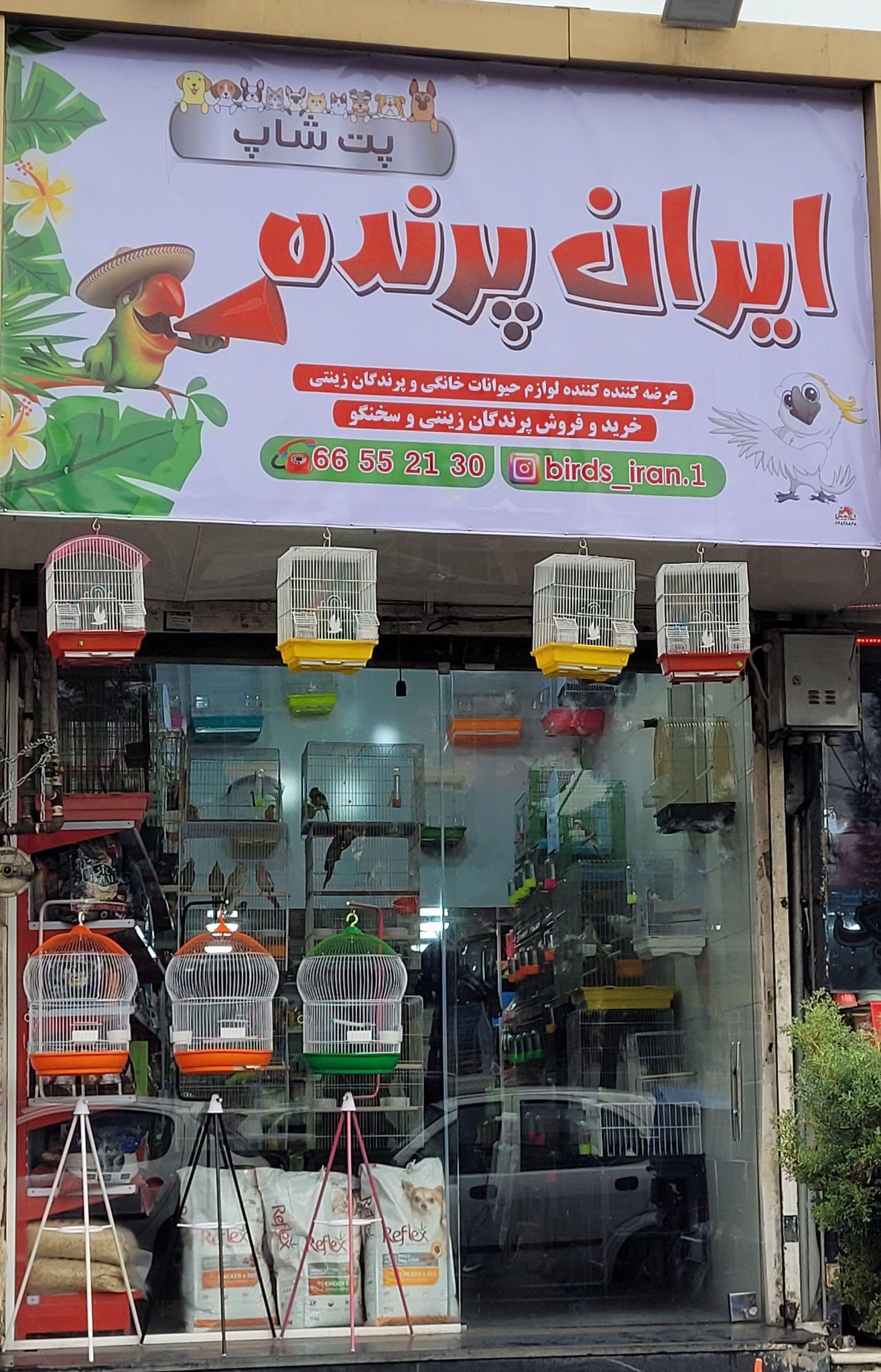 پت شاپ ایران پرنده