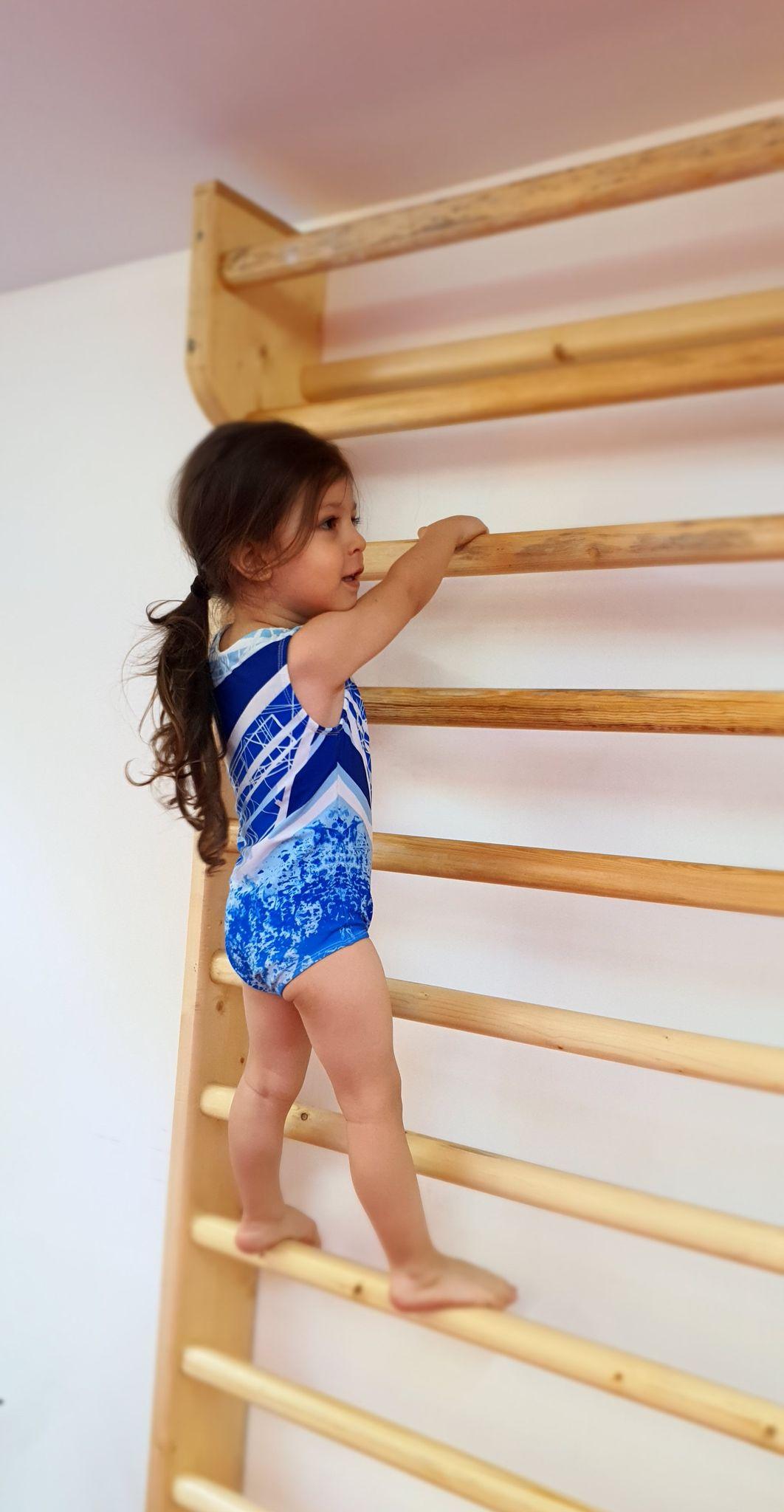 باشگاه ژیمناستیک مهر