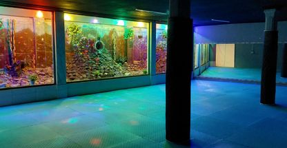 باشگاه ورزشی جام جم