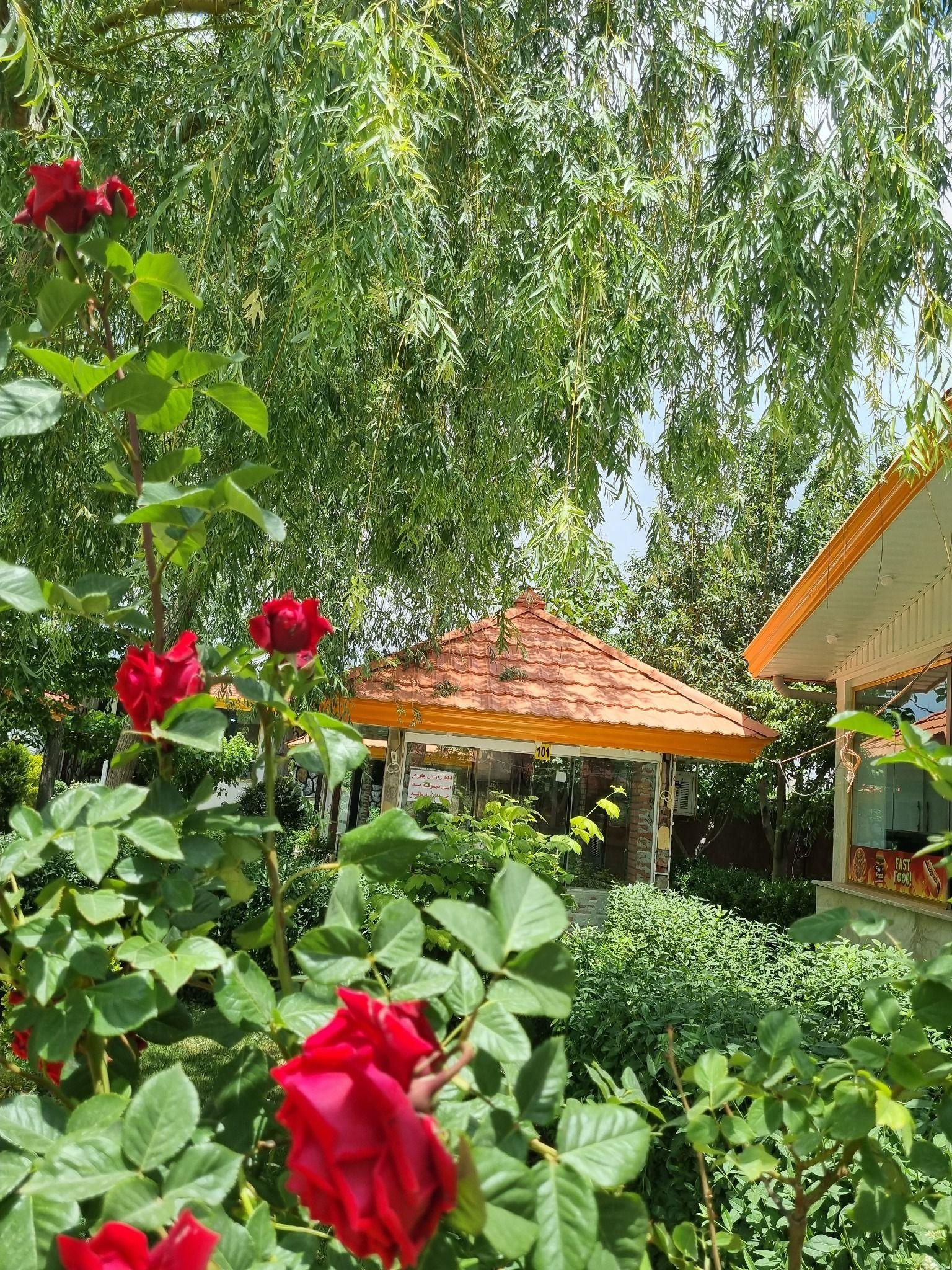 باغ رستوران فانوس گلپایگان