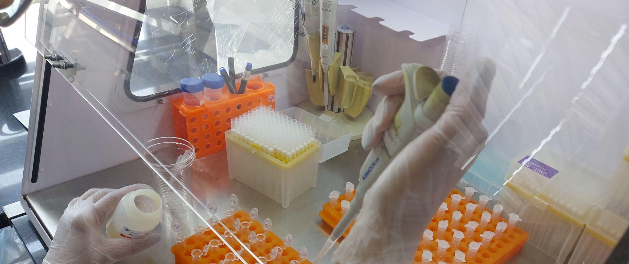 آزمایشگاه تخصصی ویروس شناسی میهن