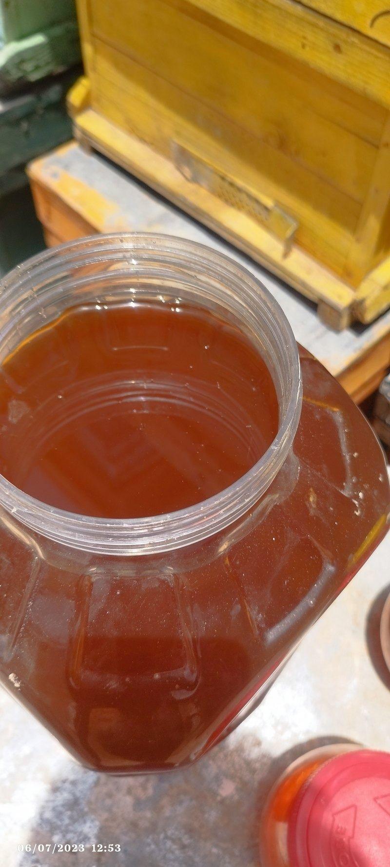 عسل اناهیتا