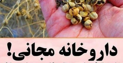 درمان  دیابت کاملا گیاهی بدون عوارض