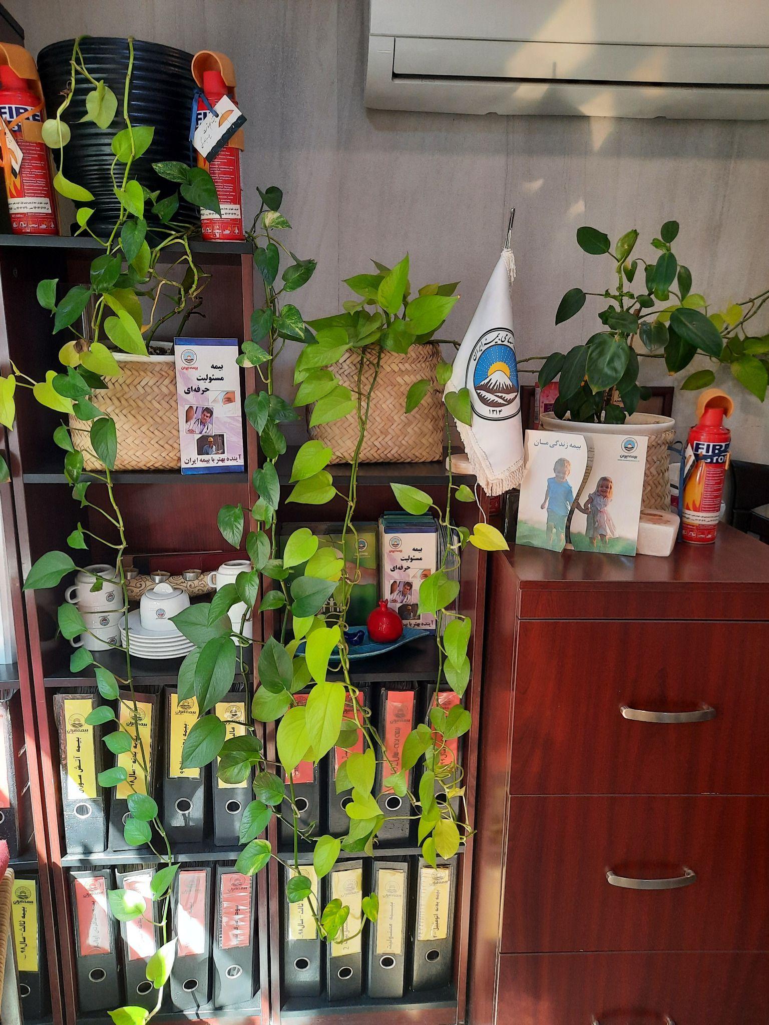 بیمه ایران  نیاوران  نمایندگی عارف نسب