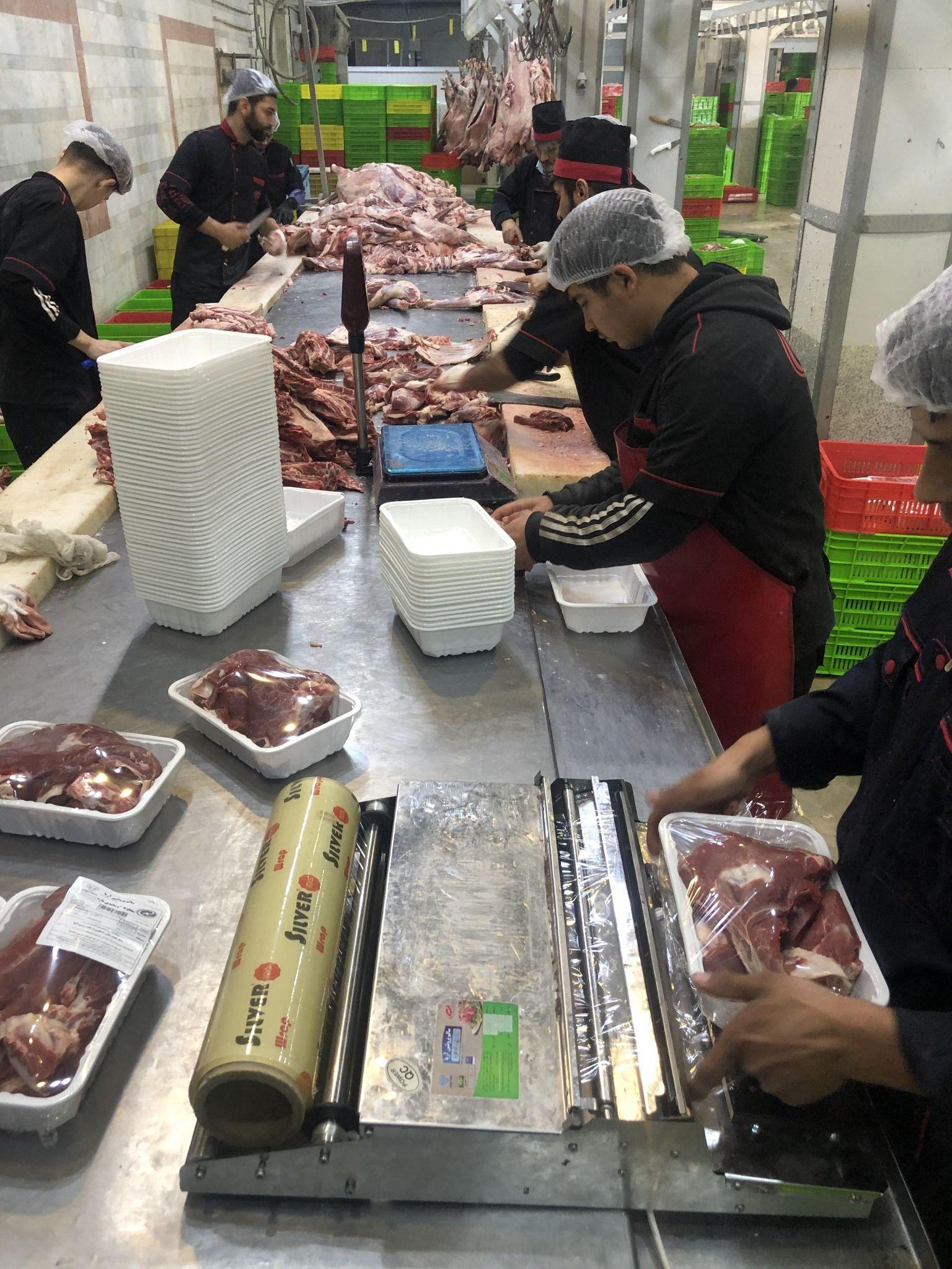 شرکت سالم پروتئین آریا