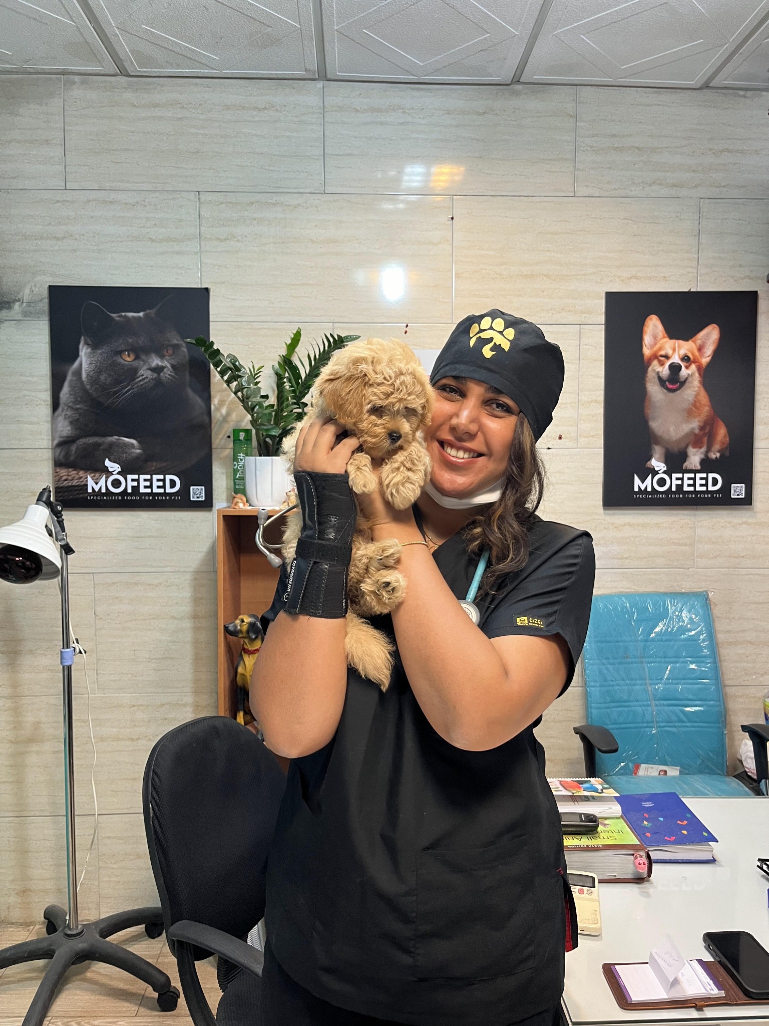 کلینیک دامپزشکی و پتشاپ فلی وت