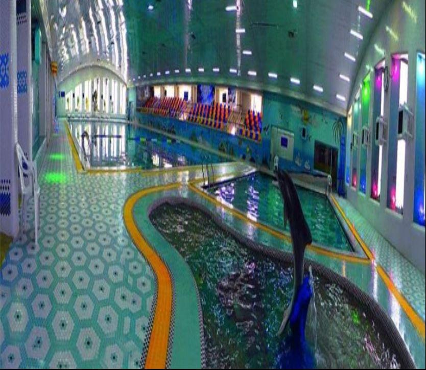 استخر مجموعه ورزشی پنج آذر