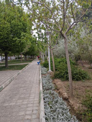 بوستان نارون