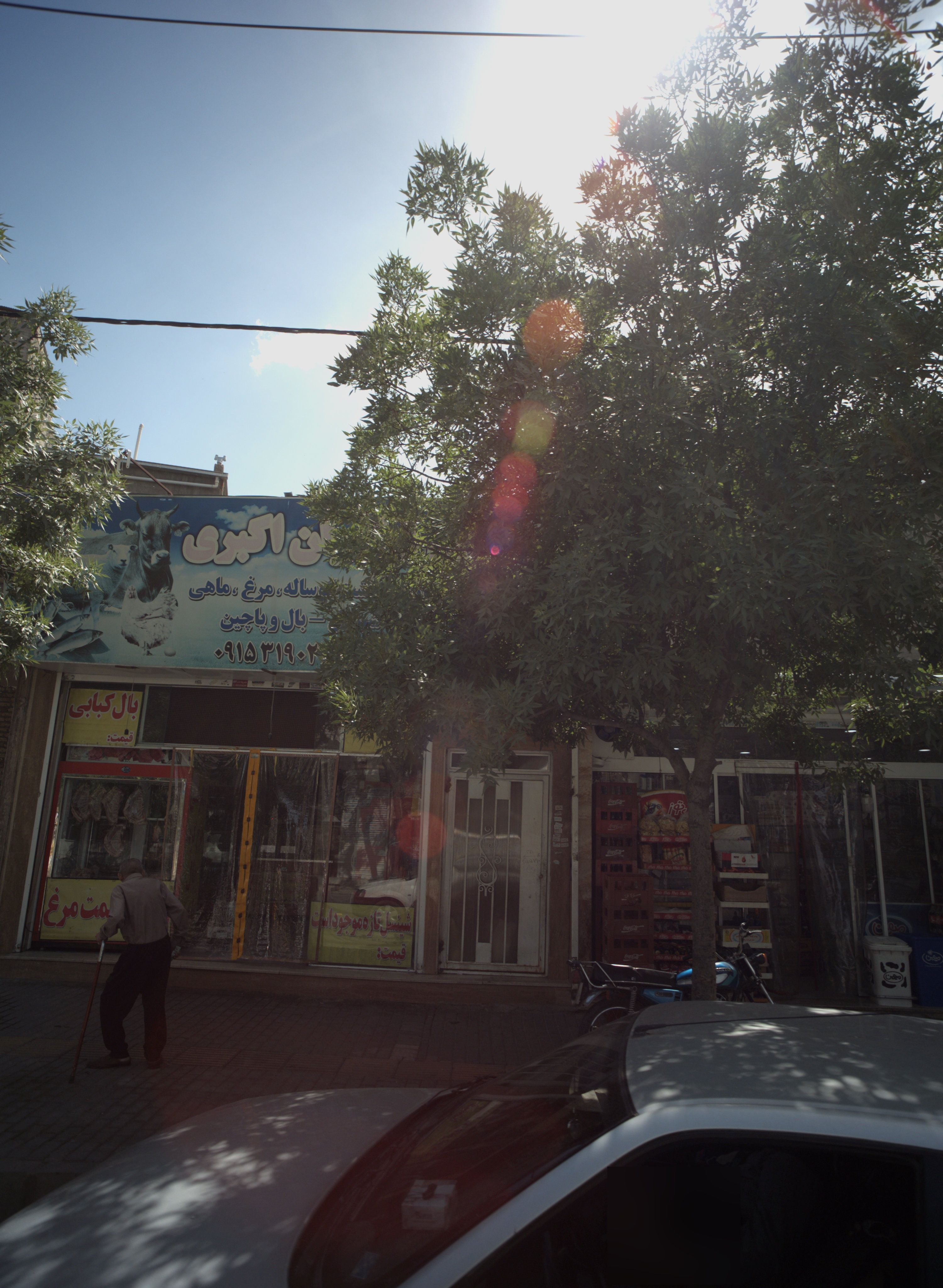 پروتئین برادران اکبری