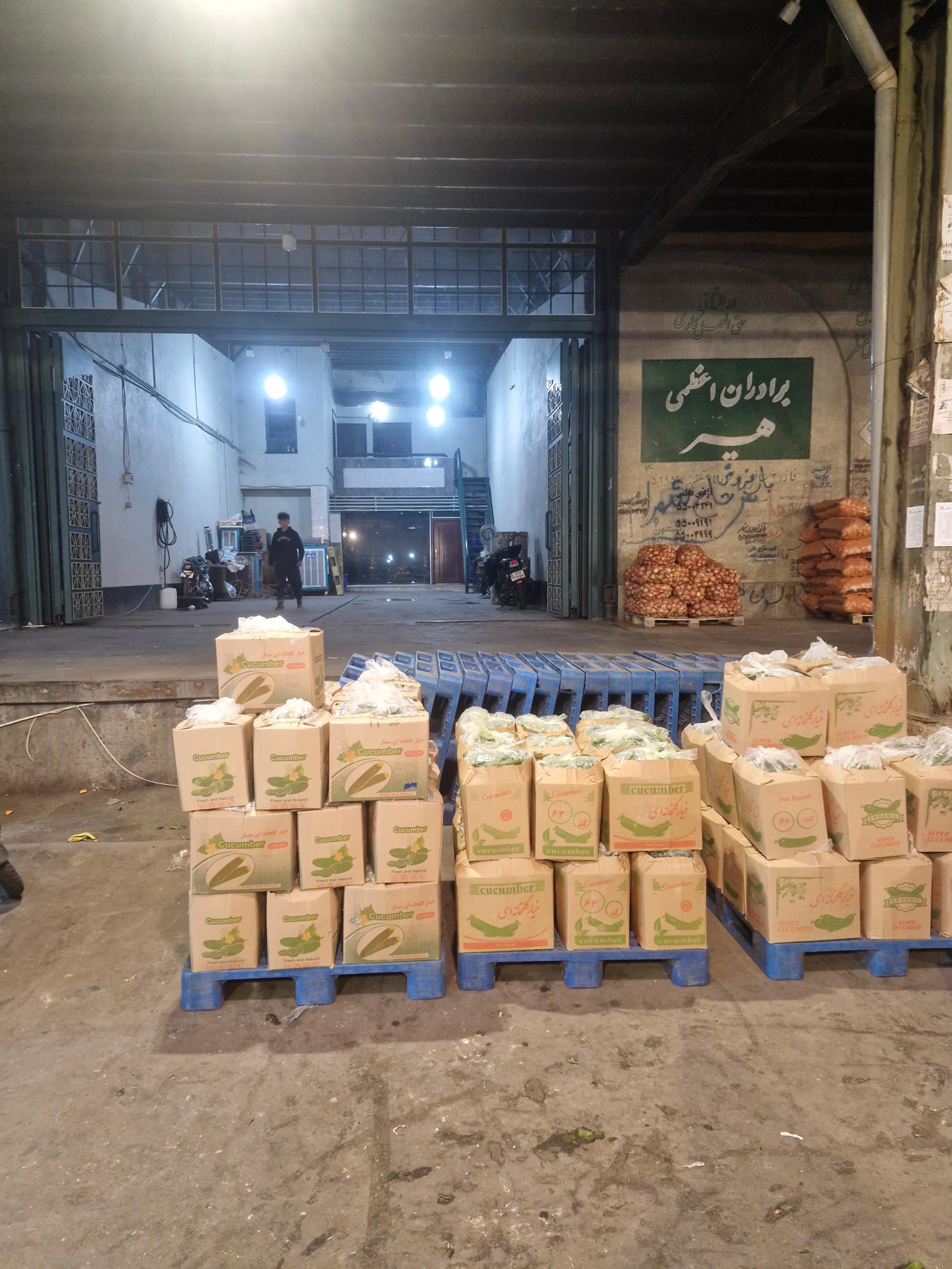پخش میوه تربار سعید