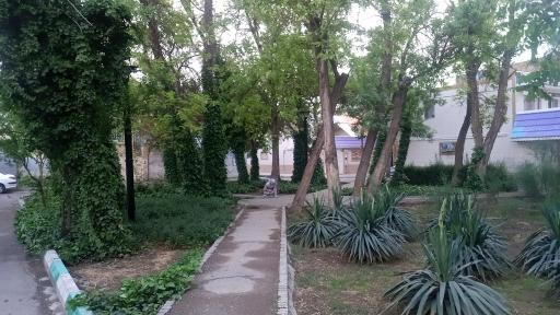 بوستان میخک