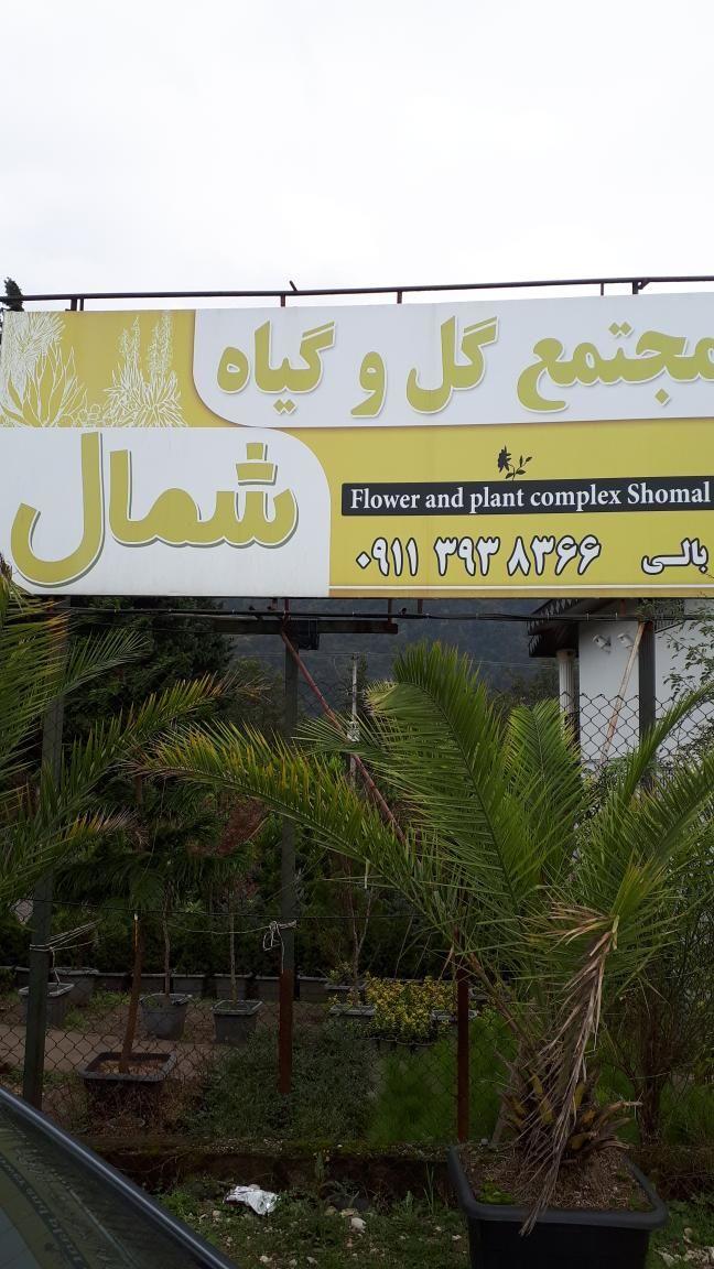 مجتمع گل وگیاه