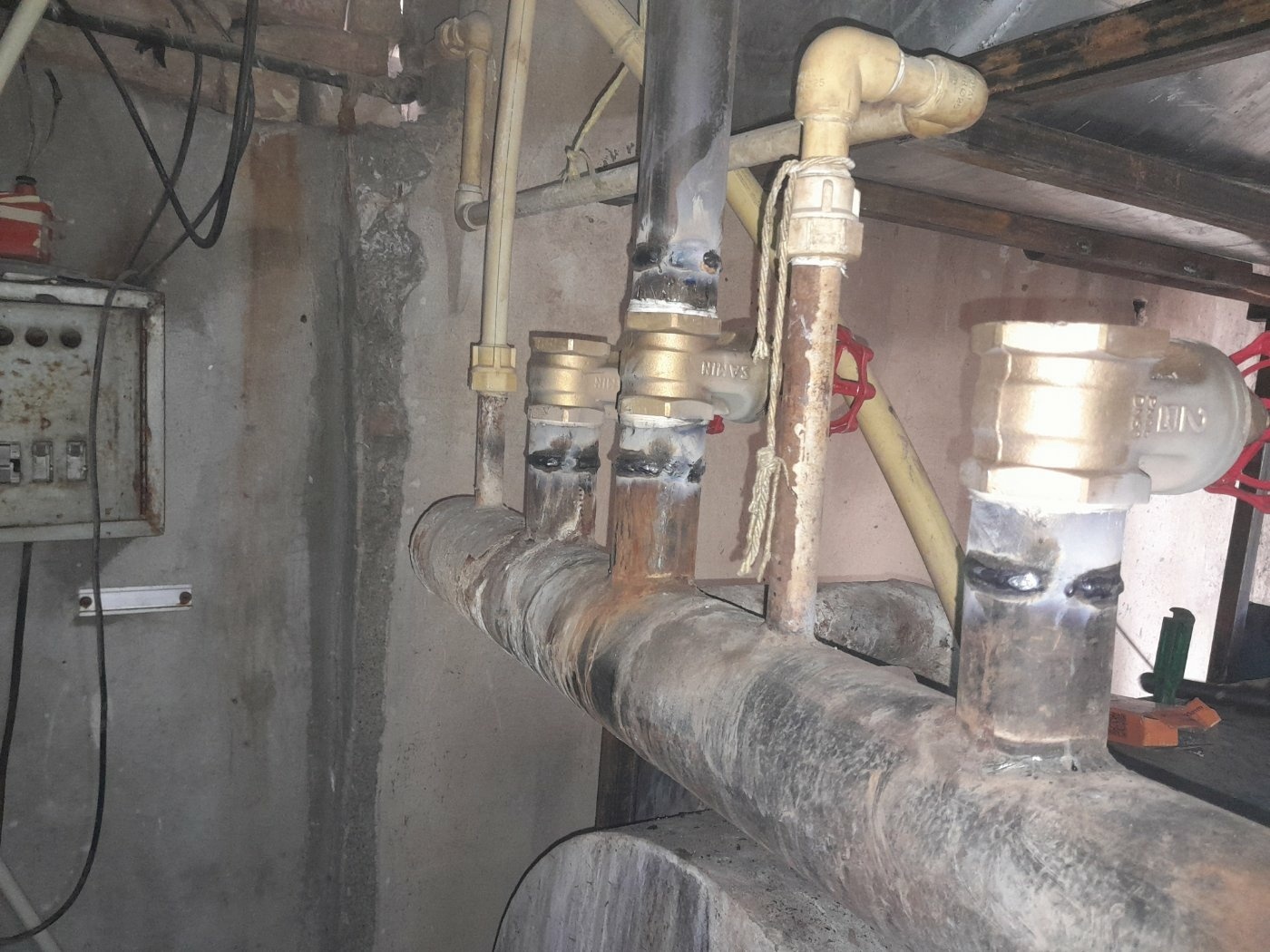 سعید رحیمی زاده