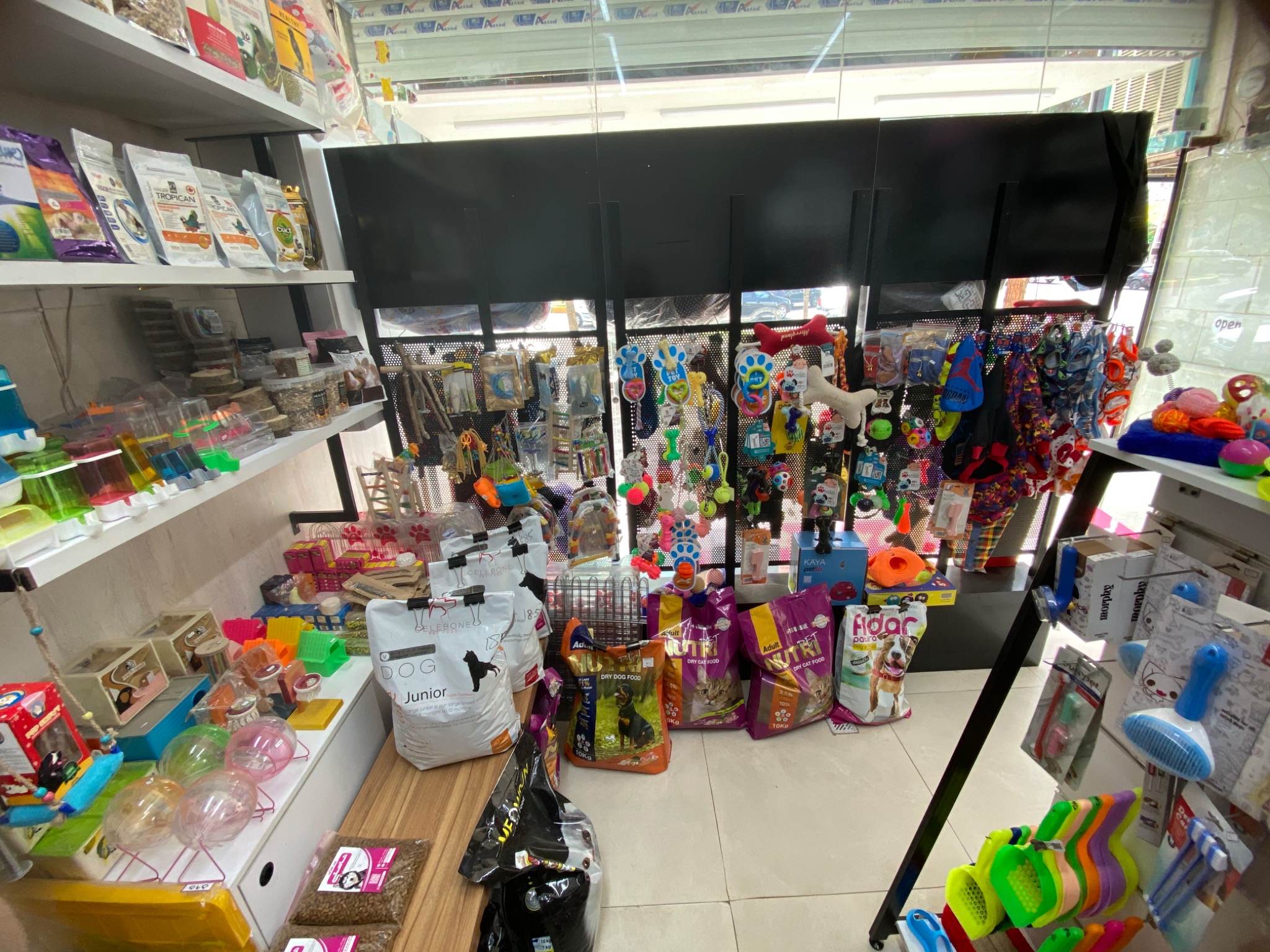 پت شاپ هاسکی