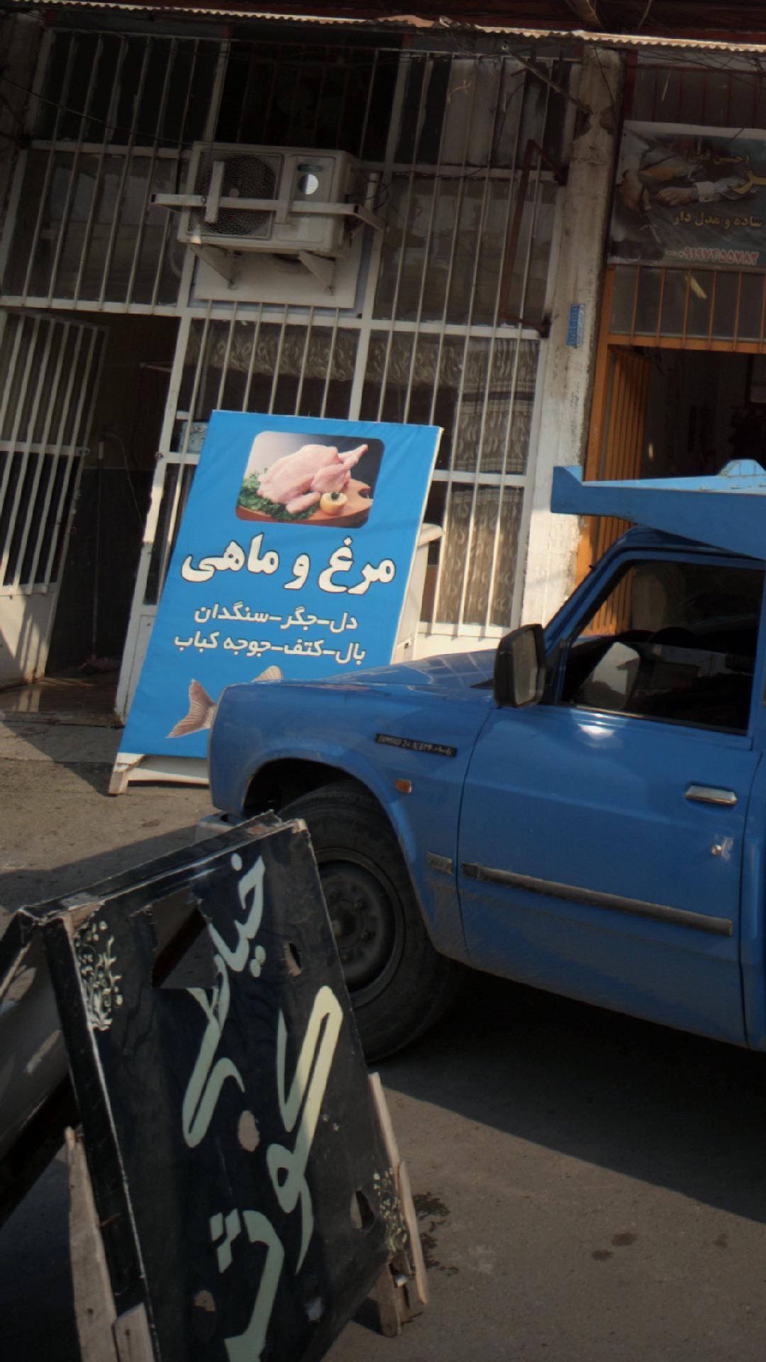 مرغ و ماهی