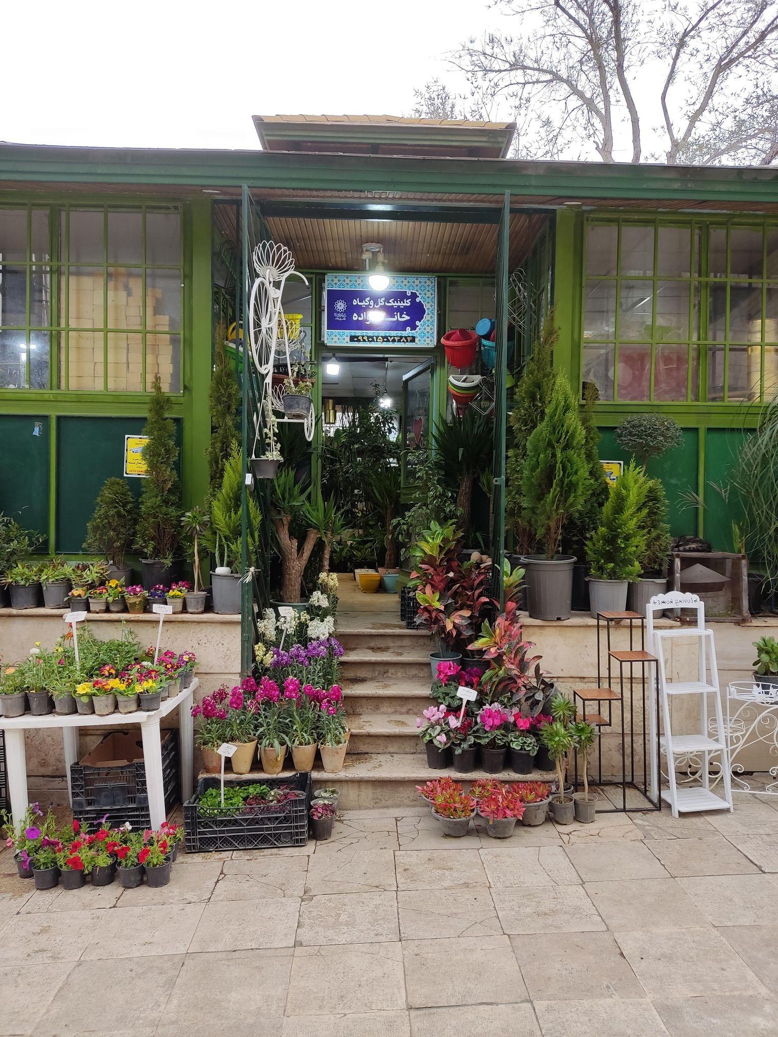 کیلینیک گل وگیاه خانواده