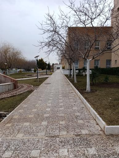 سازمان مرکزی