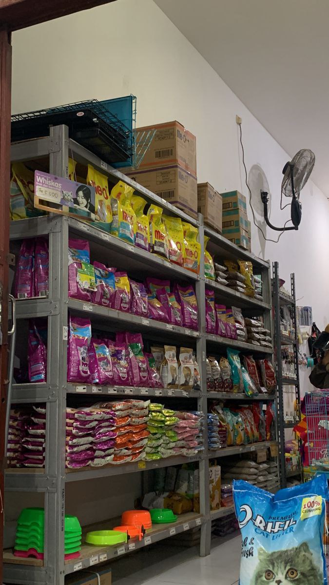 کلینیک دامپزشکی و پت‌شاپ خزر