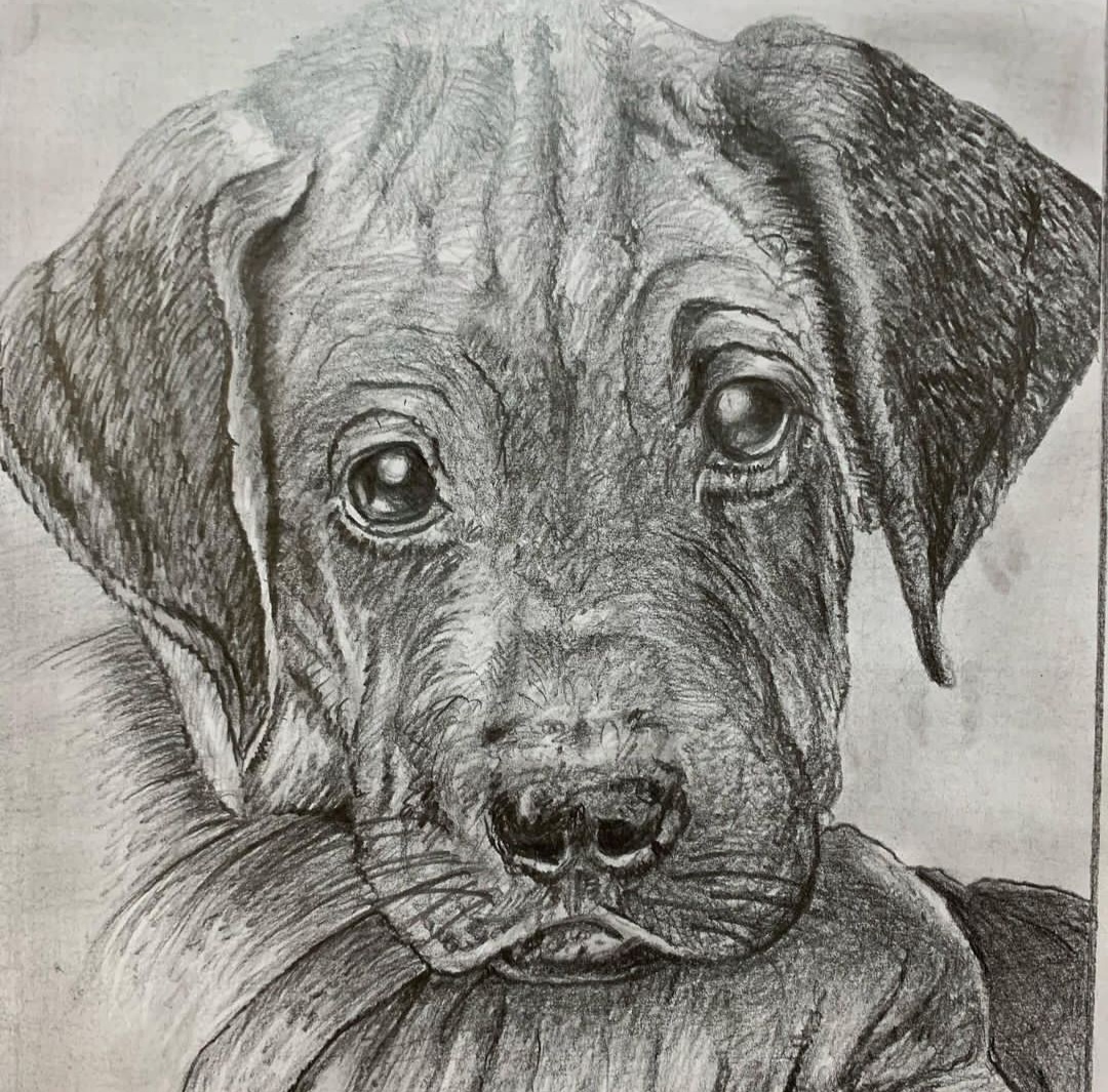 آموزش نقاشی کودکان