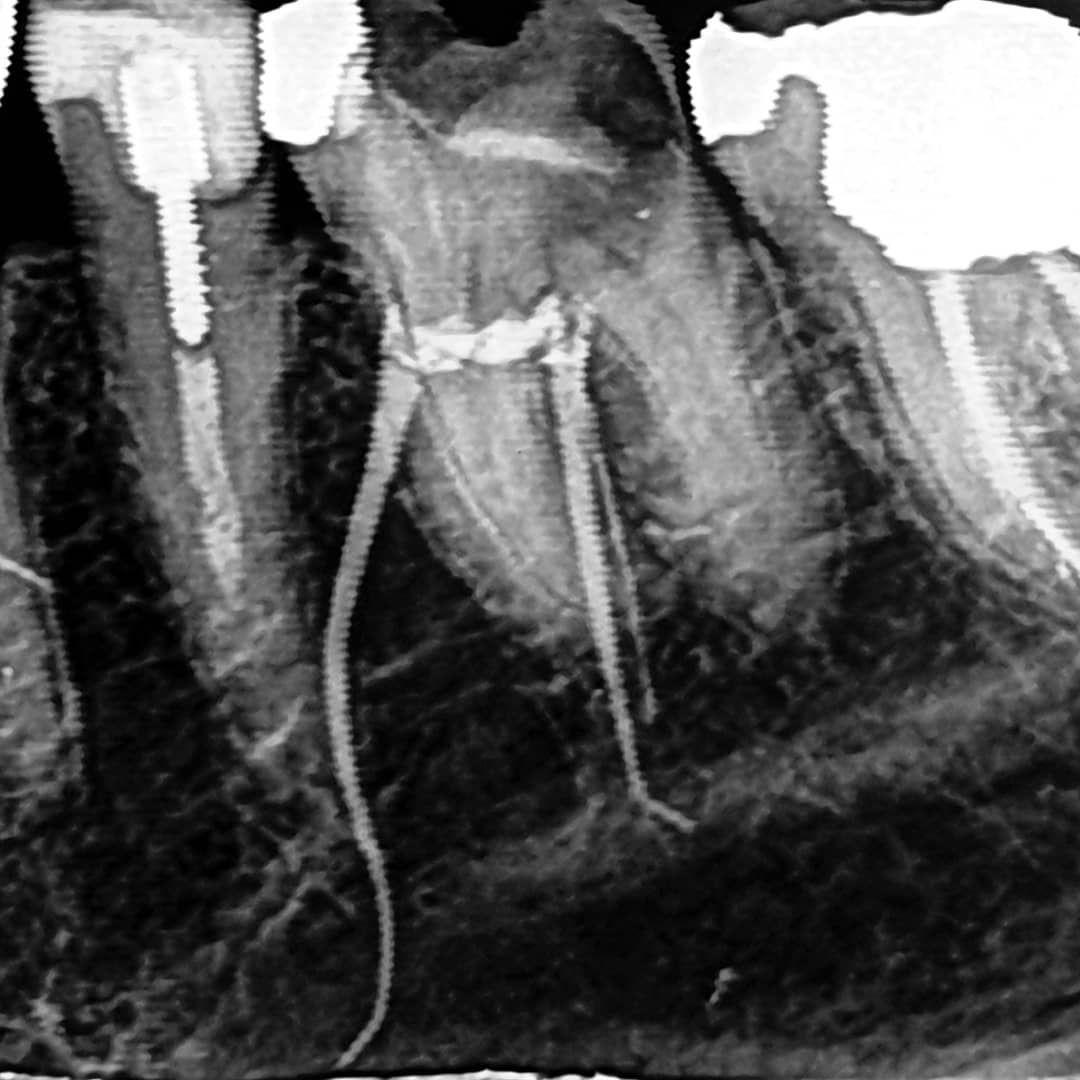 کلینیک دندانپزشکی دکتر مازیار