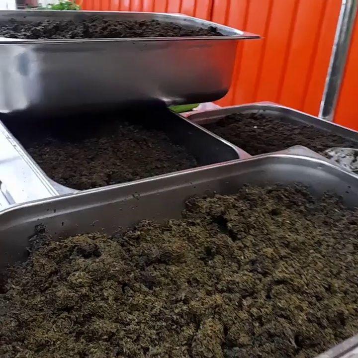 سبزیجات مادر