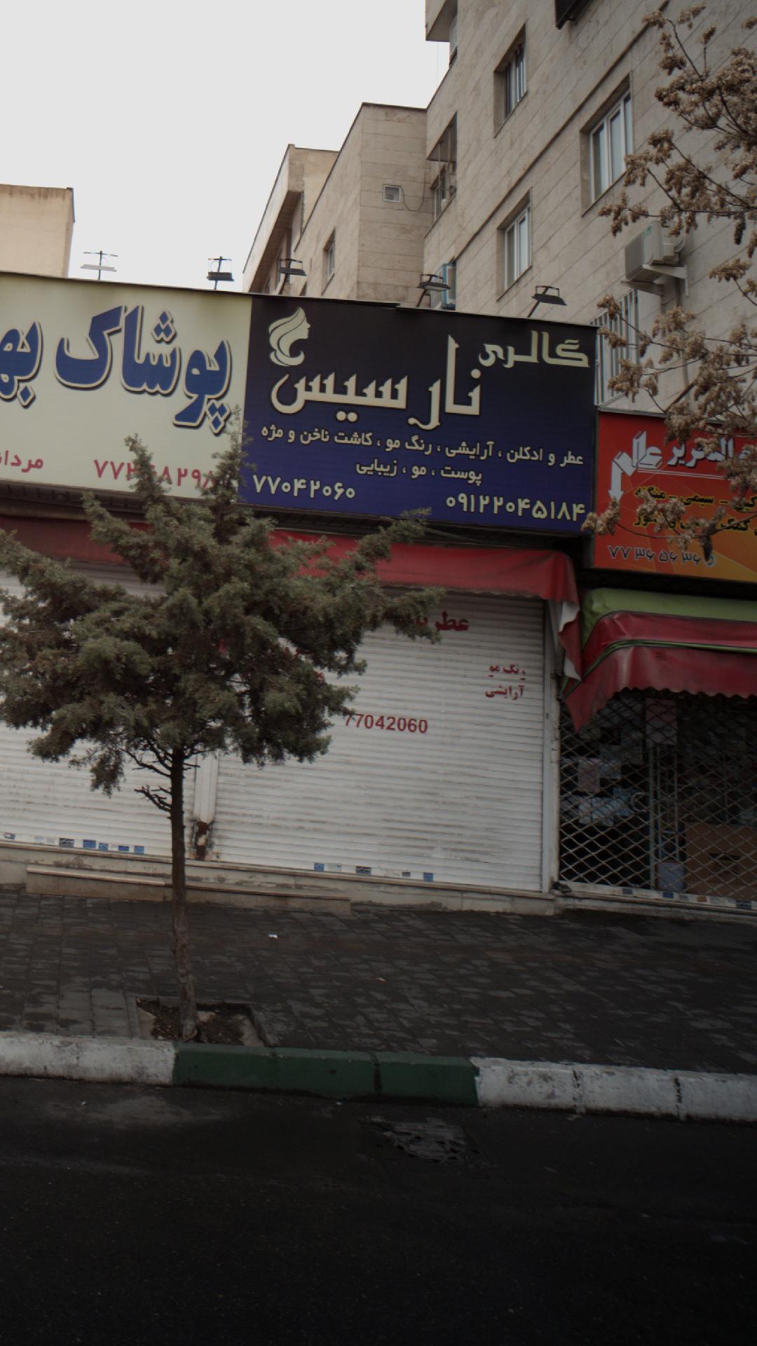 گالری نارسیس