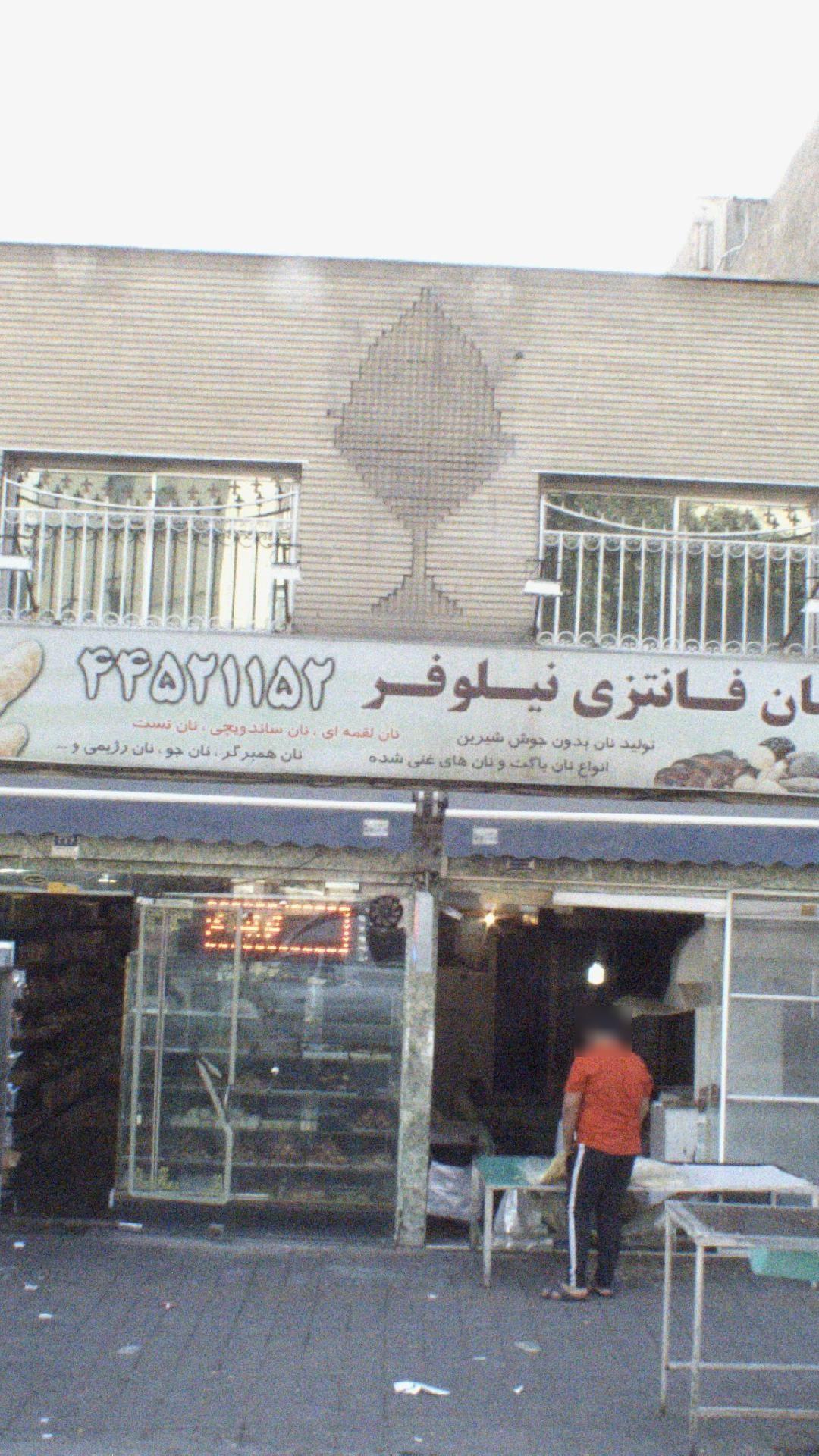 نان فانتزی نیلوفر