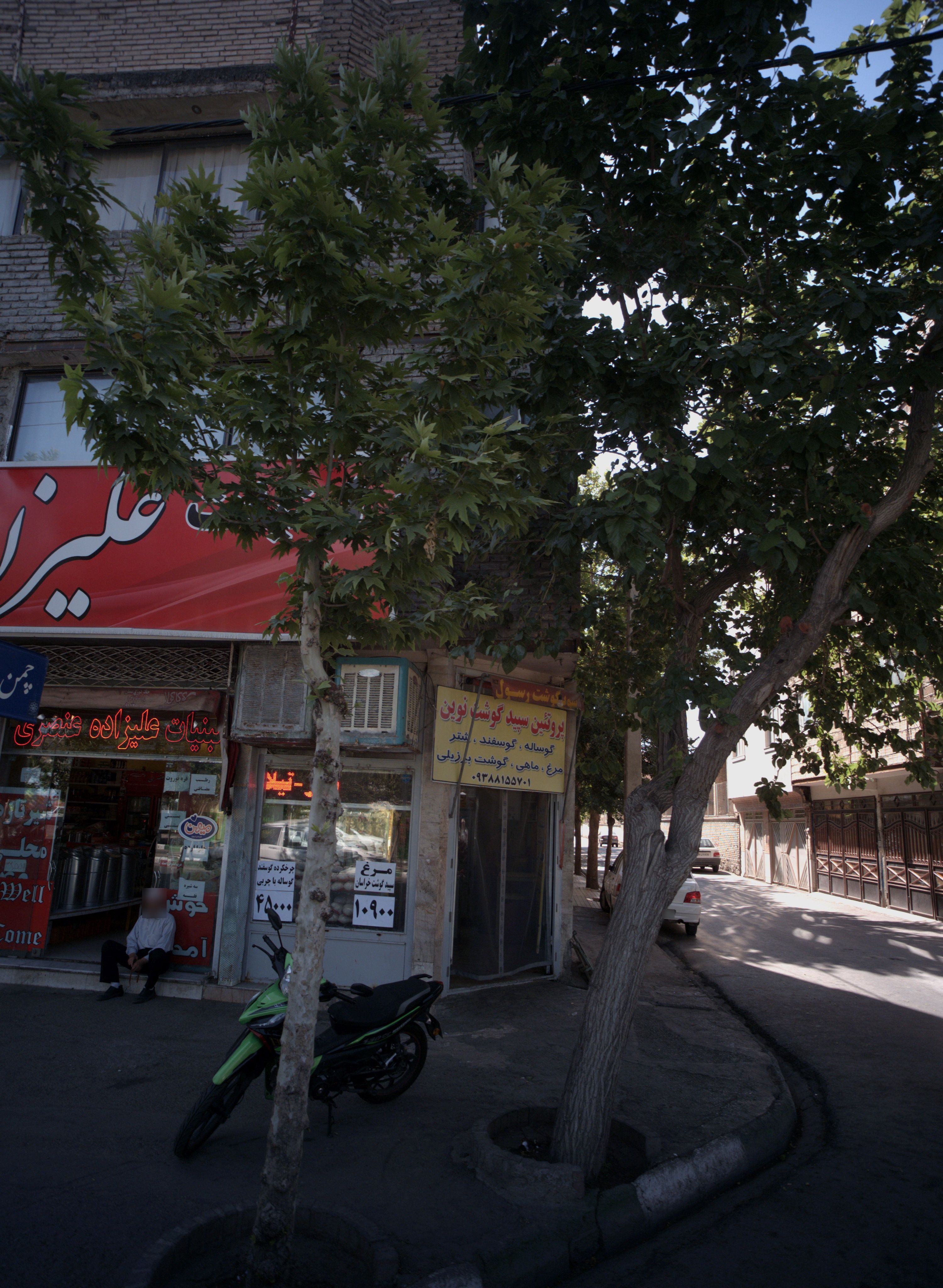 پروتئین سپید گوشت نوین