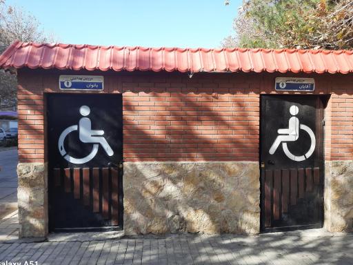 سرویس بهداشتی