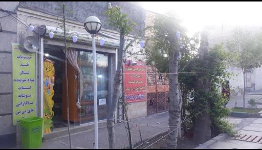 فرشگاه محمد حفیظی