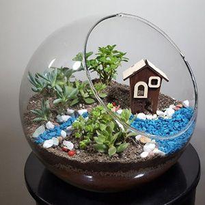 تراریوم پردیس