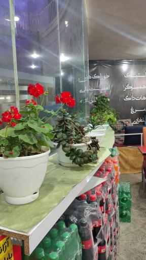 اغذیه سرای خیام