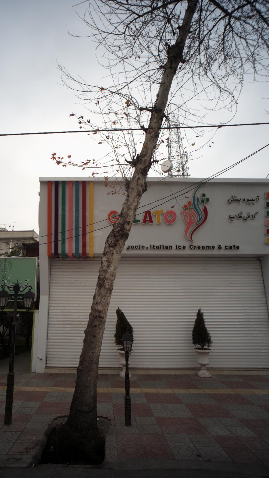 آبمیوه بستنی ژلاتو