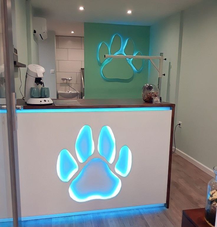 پت‌شاپ رویال ساری