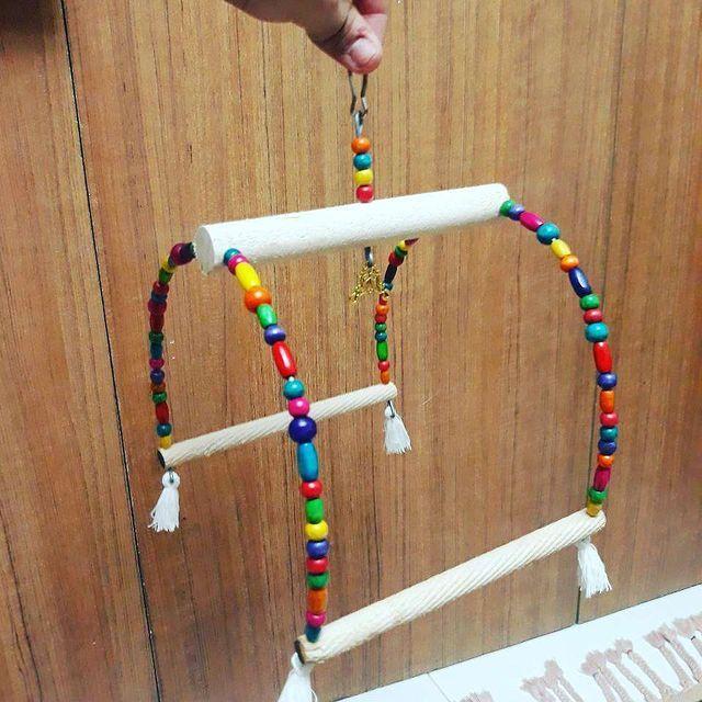 پت شاپ حقیقی