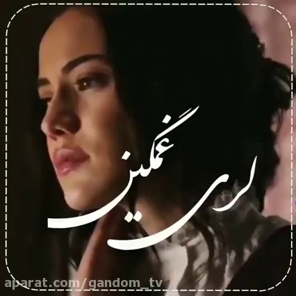 جاوید محمدی ارپناهی