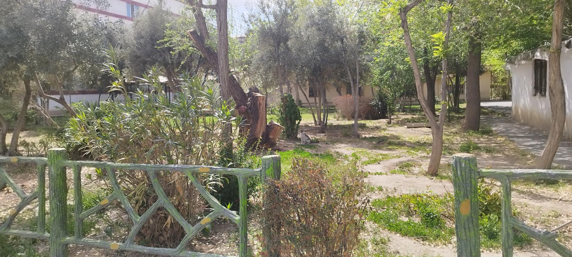 باغ شرافت