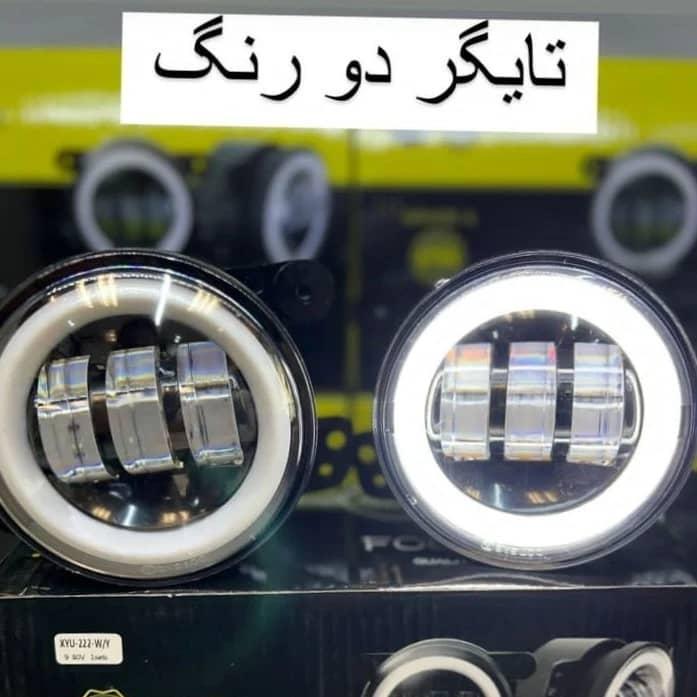 تزئیناتی حامد