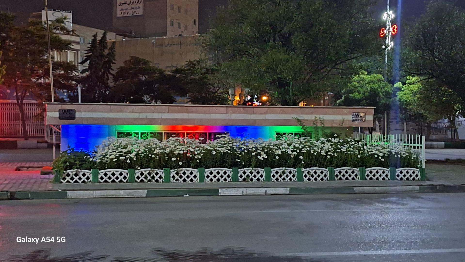 سرویس بهداشتی