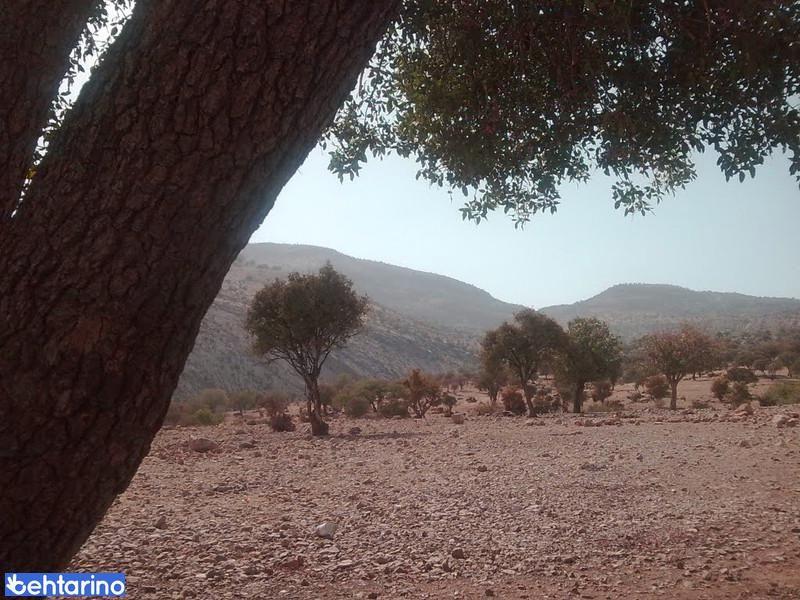 تنگ خشک مرودشت