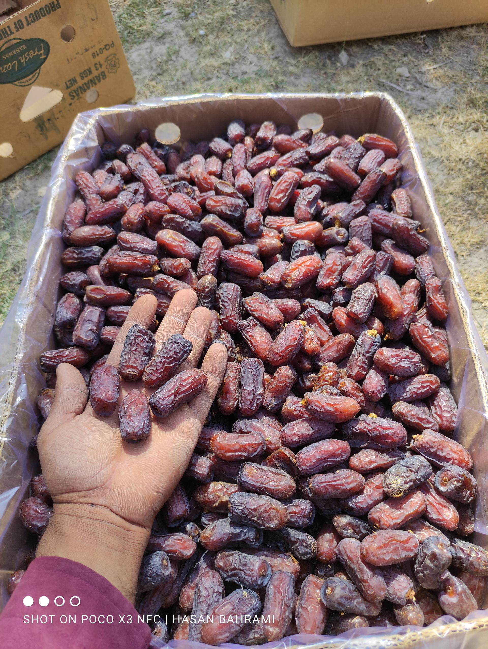 سبز کوش نگین