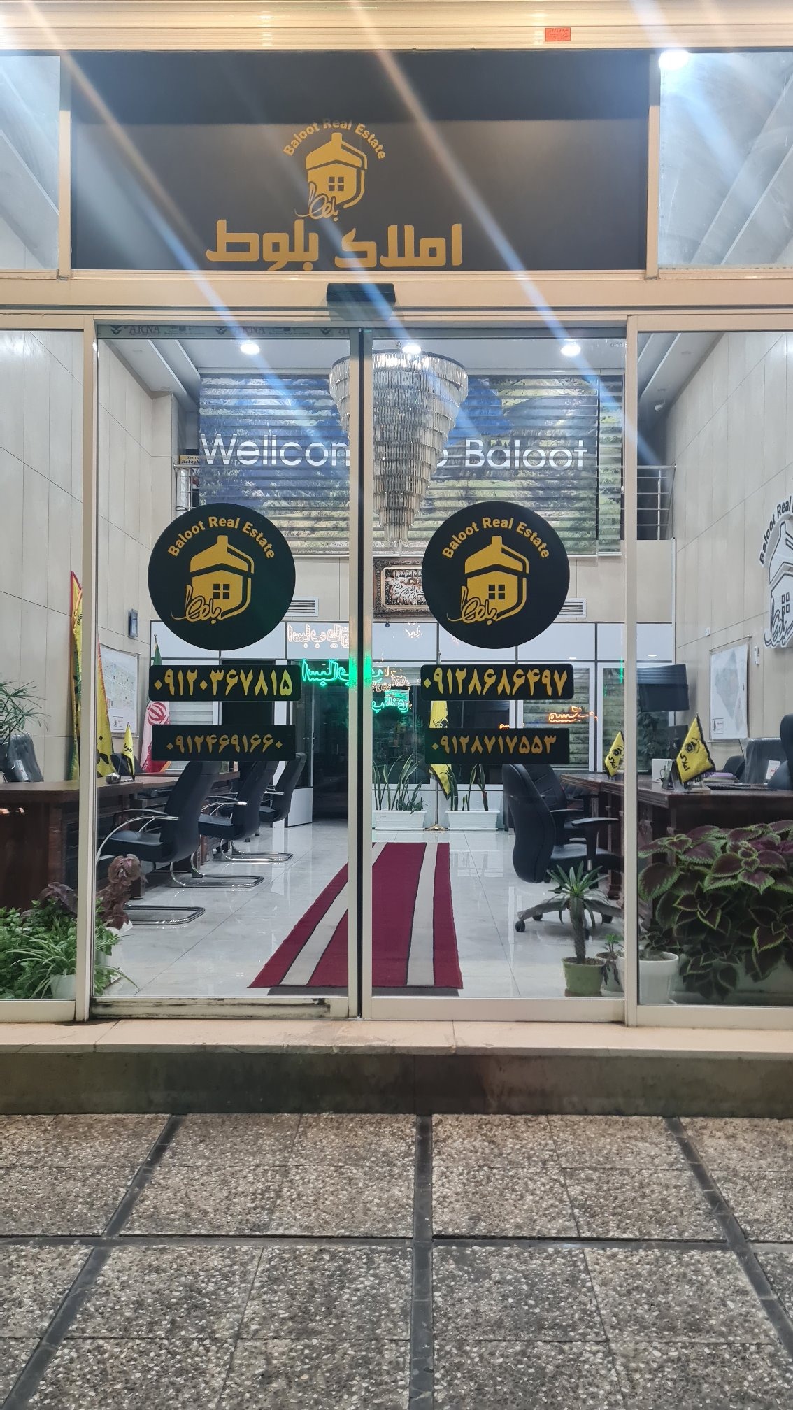 اتو ملک بلوط