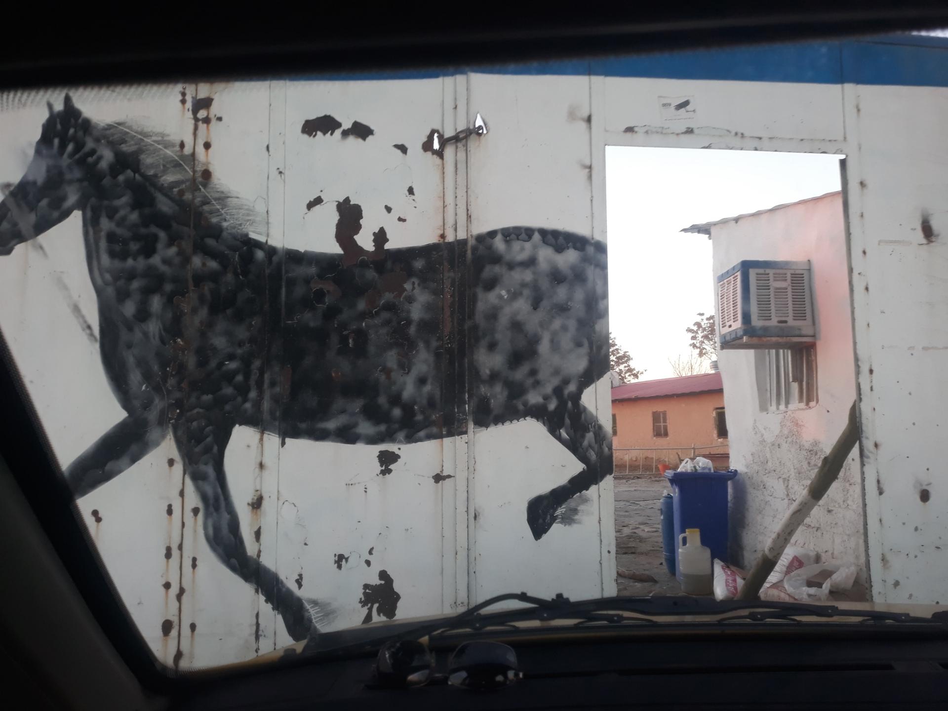 باشگاه سوارکاری حنا