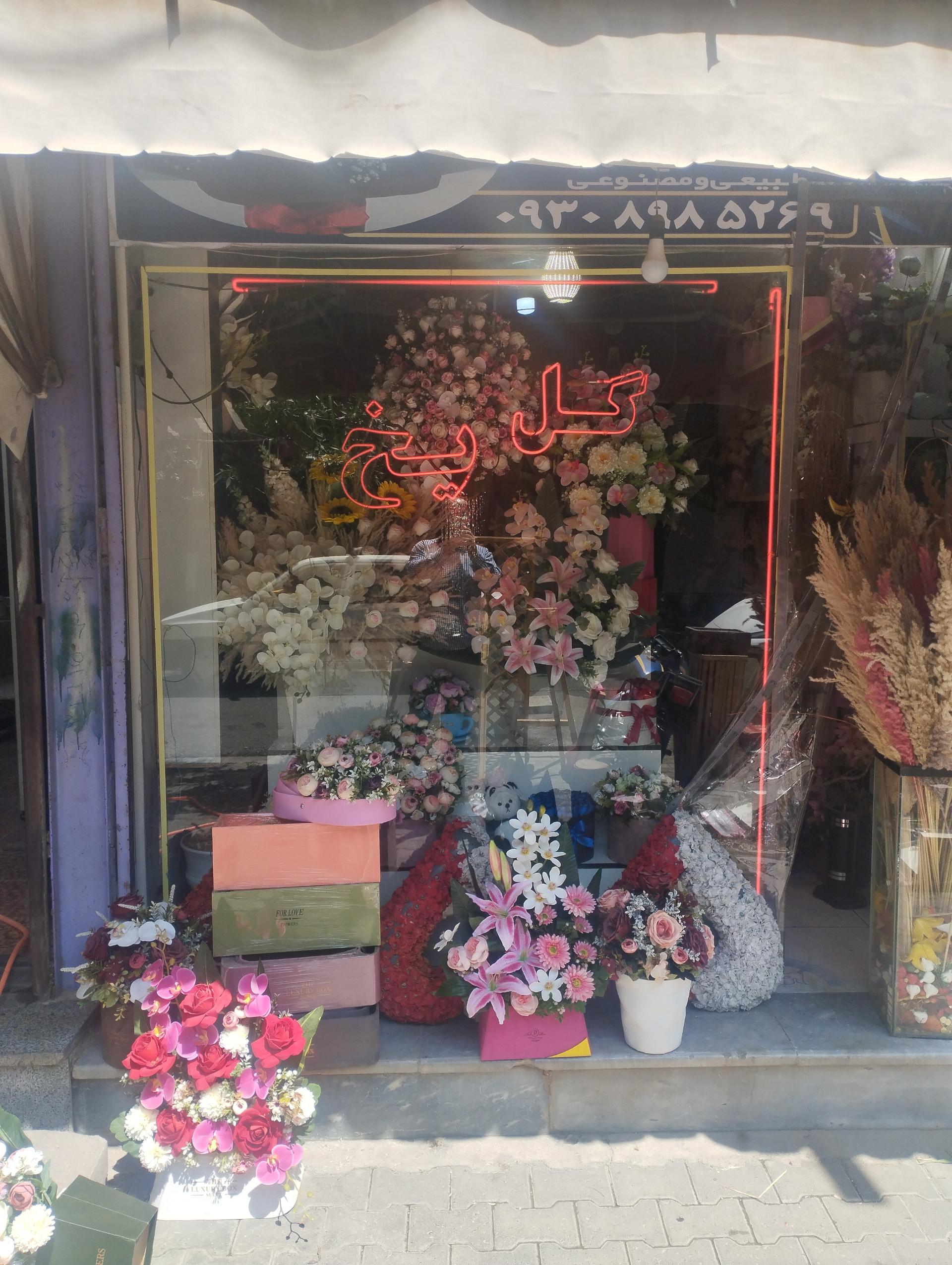 ایران نهال